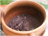 Feijoada