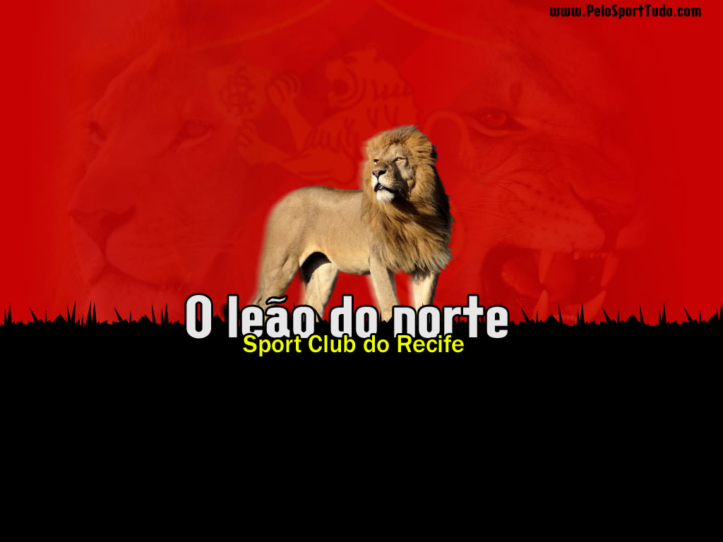Pelo Sport Tudo